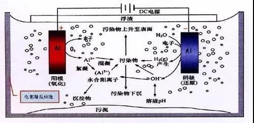 我買了一個甲醛檢測儀，吹口氣后發(fā)現(xiàn)原來我才是“地表最強(qiáng)”污染源！