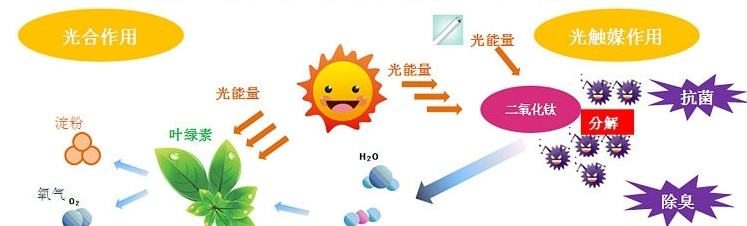 甲醛治理用什么辦法最正確？這三點(diǎn)常見的除甲醛辦法其實(shí)是誤區(qū)