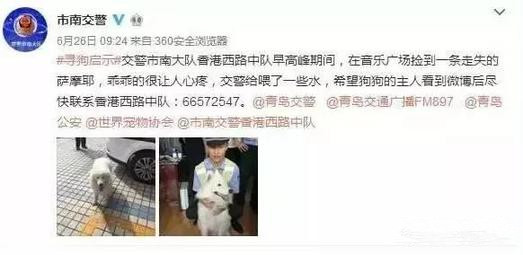 有問題找警察，薩摩耶派出所報(bào)案，不注意這件事，對狗狗致命，警察蜀黍卻幫不上忙！