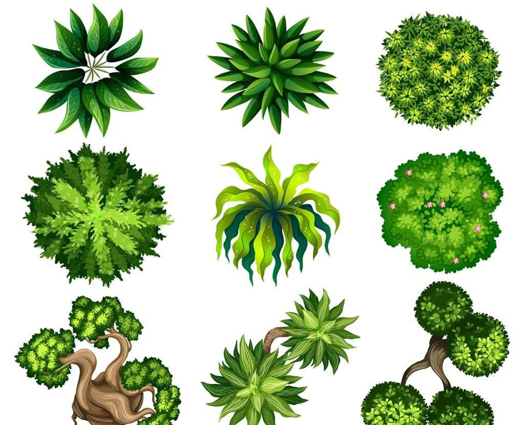 可以凈化室內(nèi)空氣的植物，這二十種您需要好好了解一下！