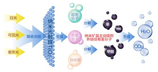 洋蔥可以除甲醛？民間流傳土方法可信嗎？