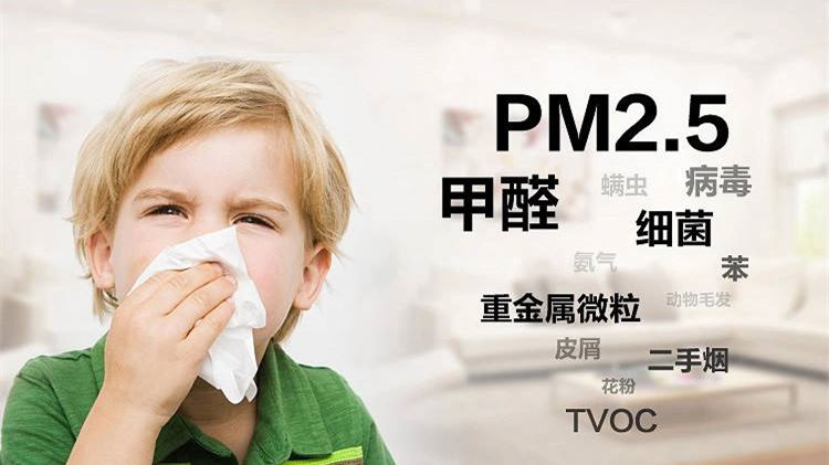 誰說二手車沒有甲醛？汽車除甲醛最有效方法告訴您