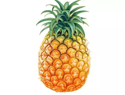 通風(fēng)半年甲醛仍超標(biāo)？甲醛治理要注意