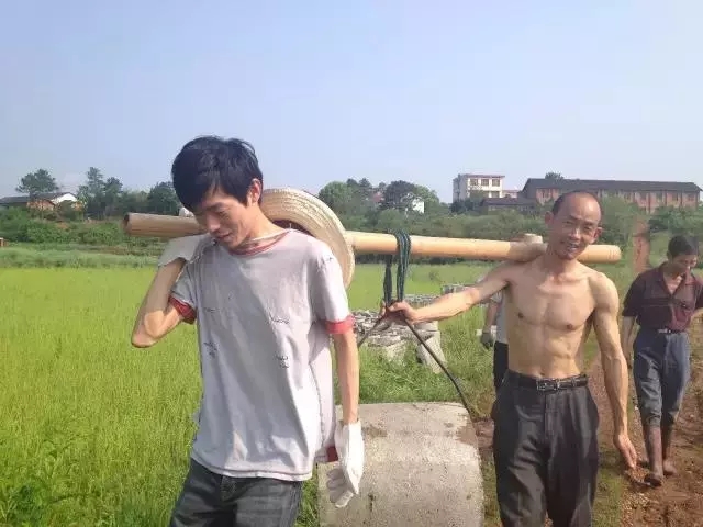 青春是用來(lái)奮斗的，除甲醛的青春最美麗！