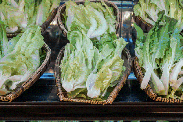 夏至高溫預警！消暑養(yǎng)生秘笈了解一下？