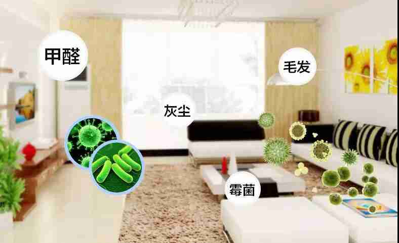 網(wǎng)上的除甲醛好辦法真的有效嗎？原理是什么