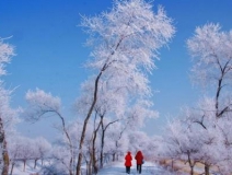 如何解決冬季室內(nèi)和車(chē)內(nèi)環(huán)境污染問(wèn)題的問(wèn)題呢？