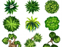 可以凈化室內空氣的植物，這二十種您需要好好了解一下！