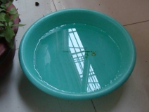 裝修完僅靠兩盆冷水就能除甲醛？這個說法連網(wǎng)友都出來辟謠！大家別再相信了！