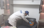 哪種方法除甲醛才是真正有效的呢？