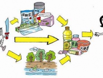 食品中有塑化劑嗎？這些食品中含有大量塑化劑，食用時一定要注意！