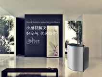 盆栽、魚兒養(yǎng)不活怎么辦 是甲醛導(dǎo)致的嗎？