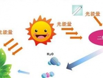 甲醛治理用什么辦法最正確？這三點常見的除甲醛辦法其實是誤區(qū)