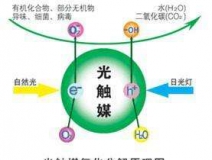 您知道或者聽說過光觸媒嗎？