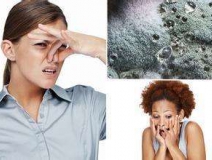 家里有異味怎么辦？科學(xué)除味、治理甲醛就對了！