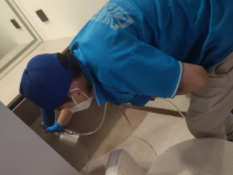 地毯也會(huì)引起甲醛超標(biāo)嗎？