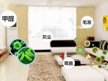 網(wǎng)上的除甲醛好辦法真的有效嗎？原理是什么