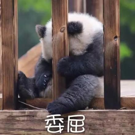 別大意！七大除甲醛“誤區(qū)”，信了你反而會生??！通風、綠植、活性炭、熏蒸……你中招了嗎？