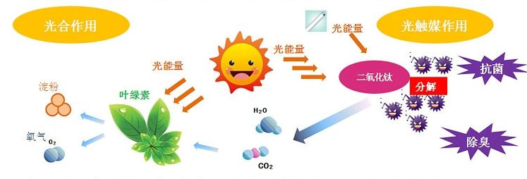 光觸媒去除房間甲醛爭(zhēng)議很大？
